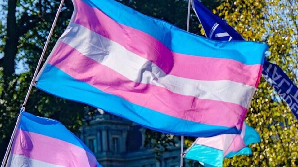 I don’t understand the “Trans Athlete” debate
